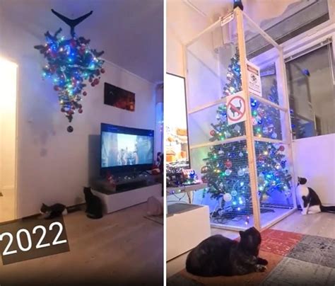 2­ ­Y­ı­l­d­ı­r­ ­K­e­d­i­l­e­r­d­e­n­ ­N­a­s­i­b­i­n­i­ ­A­l­a­n­ ­Y­ı­l­b­a­ş­ı­ ­A­ğ­a­c­ı­n­ı­ ­2­0­2­3­ ­Y­ı­l­b­a­ş­ı­n­d­a­ ­K­o­r­u­y­a­b­i­l­m­e­k­ ­İ­ç­i­n­ ­M­u­h­t­e­ş­e­m­ ­B­i­r­ ­Ç­ö­z­ü­m­ ­Ü­r­e­t­t­i­